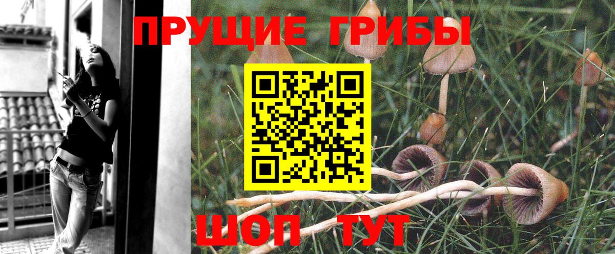 Галлюциногенные грибы Magic Shrooms  Вход с VPN  Ухта  Галлюциногенные грибы MAGIC MUSHROOMS 