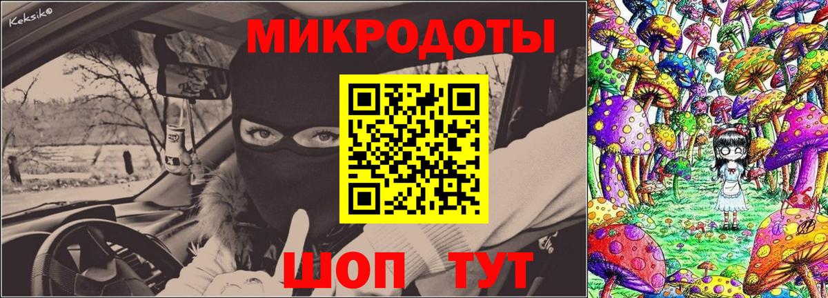 Галлюциногенные грибы Psilocybe Ухта